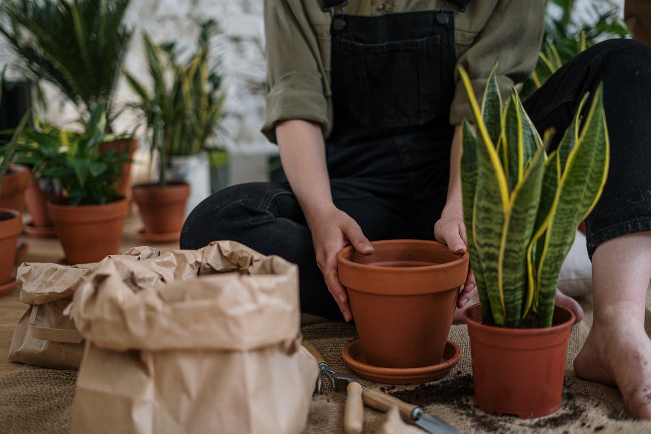 Creative ways to use cocopeat in gardening setups.